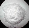 Barium Chloride Dihydrate Manufacturers