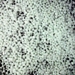 Urea manufacturers
